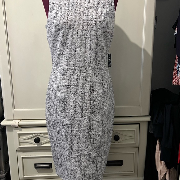 Express Dress - Picture 2 of 5